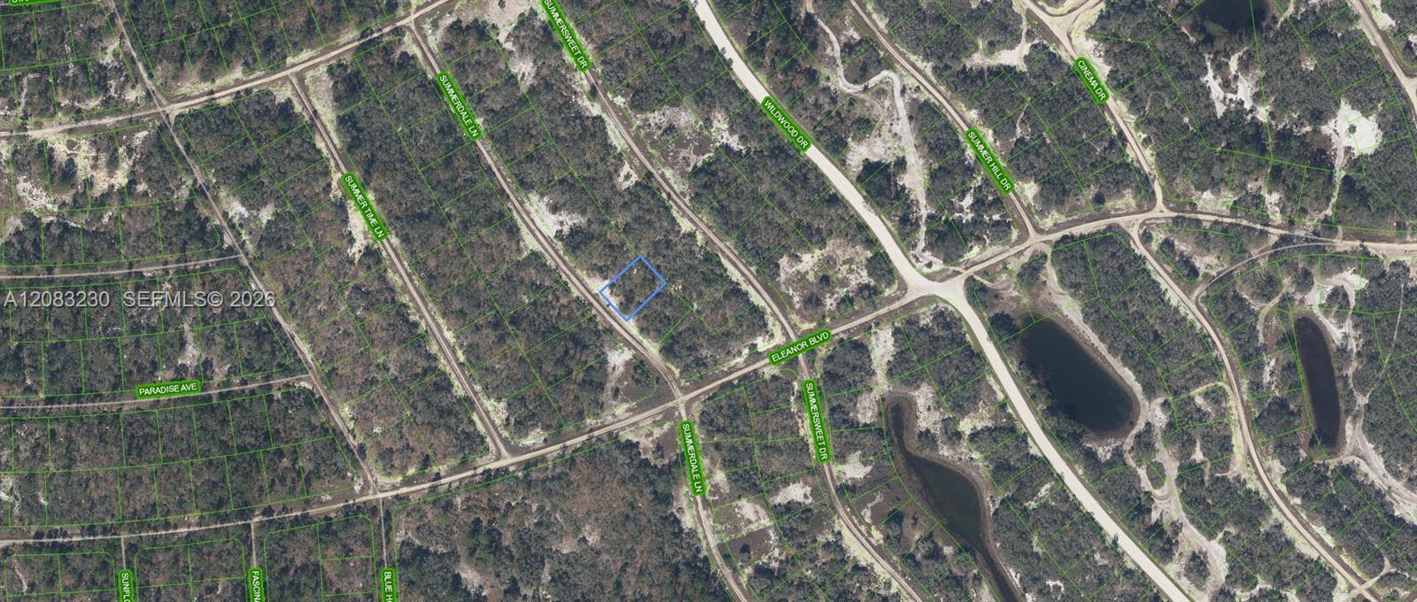 337 Summerdale Lane, Lake Placid, Florida 33852, Stati Uniti