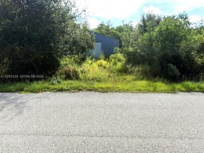 2524 Gem Stone Ave, Lorida, Florida 33857, USA