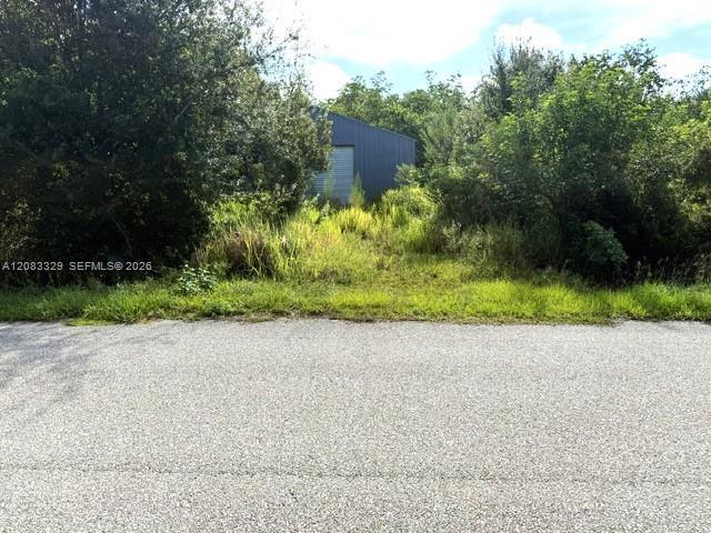 2524 Gem Stone Ave, Lorida, Floryda 33857, USA