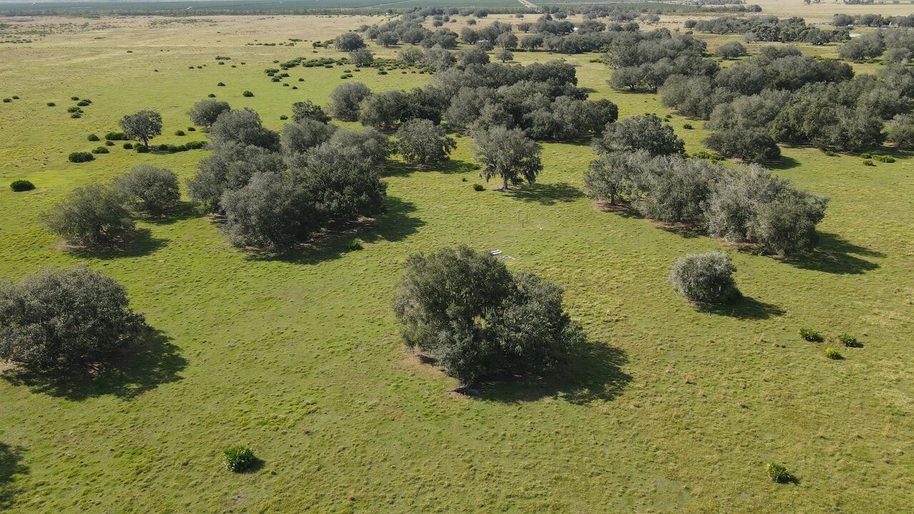 101 PERCHERON Trail, Florida 33960, USA