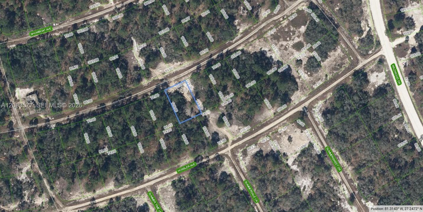 Lake Placid, Florida 33852, Stati Uniti