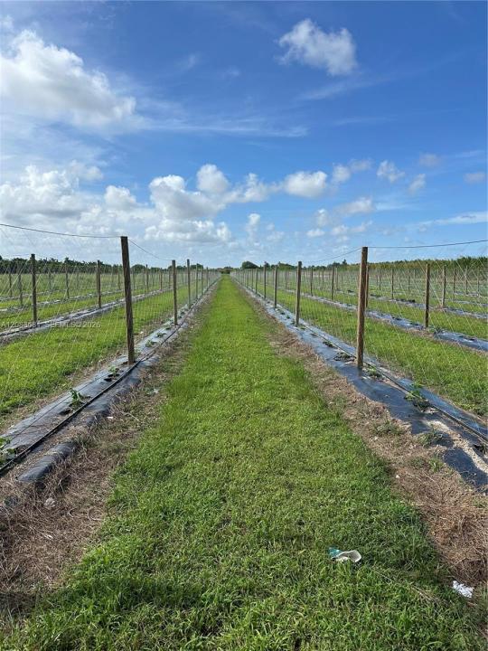 N 280, Homestead, Florida 33033, USA