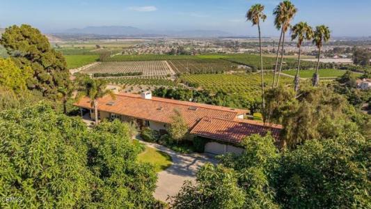 Foothill Road, Santa Paula, Califórnia 93060, Estados Unidos