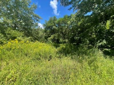 Wallum Lake Road, Burrillville, Rhode Island 02859, Estados Unidos