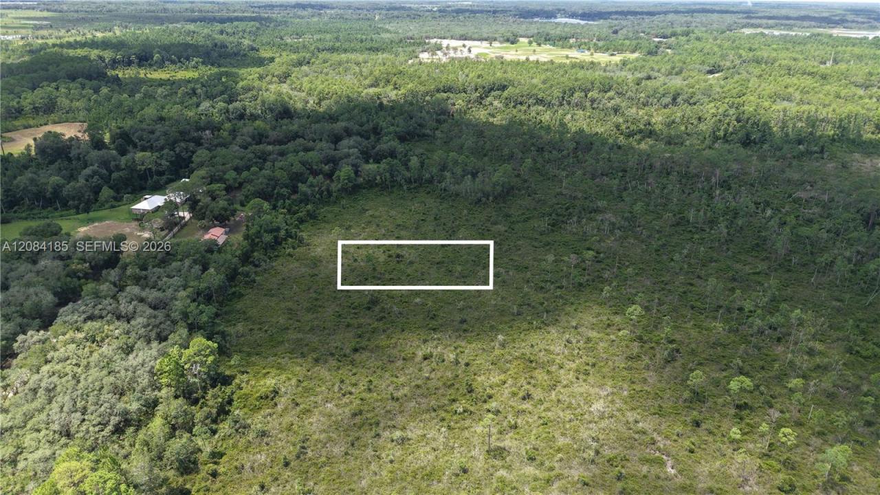 0 Crocus Ln, Florida 32640, HOA KỲ