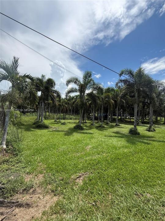 208 SW 208th Ln, Southwest Ranches, Flórida 33332, Estados Unidos