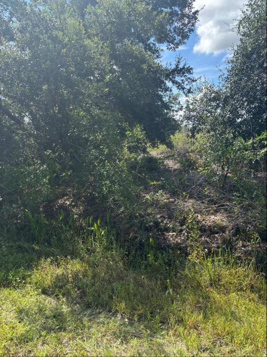 16014 NW 282ND Street, Okeechobee, Floride 34972, États-Unis
