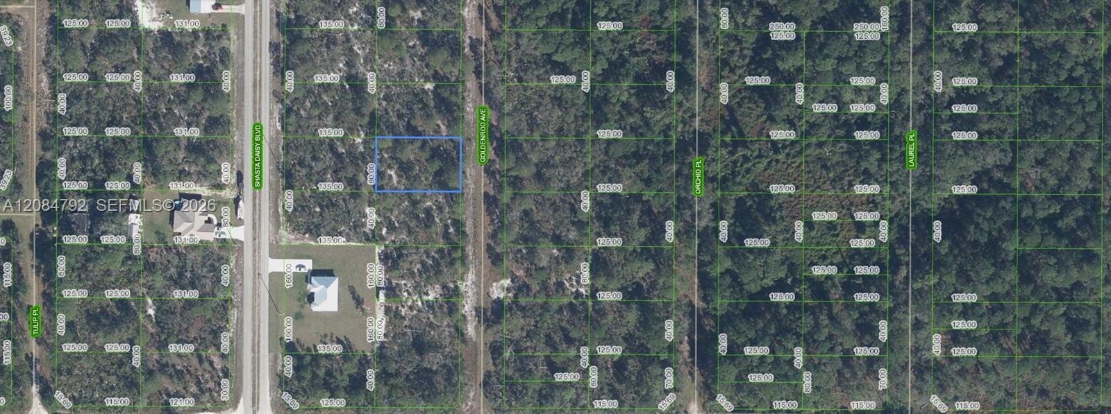 7019 Goldenrod Avenue, Sebring, Floride 33875, États-Unis