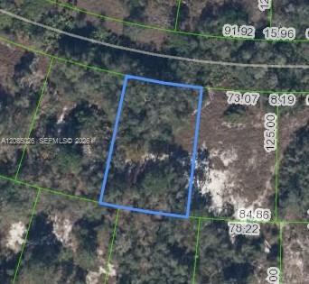 783 Clair De Lune DR, Lake Placid, Floride 33852, États-Unis