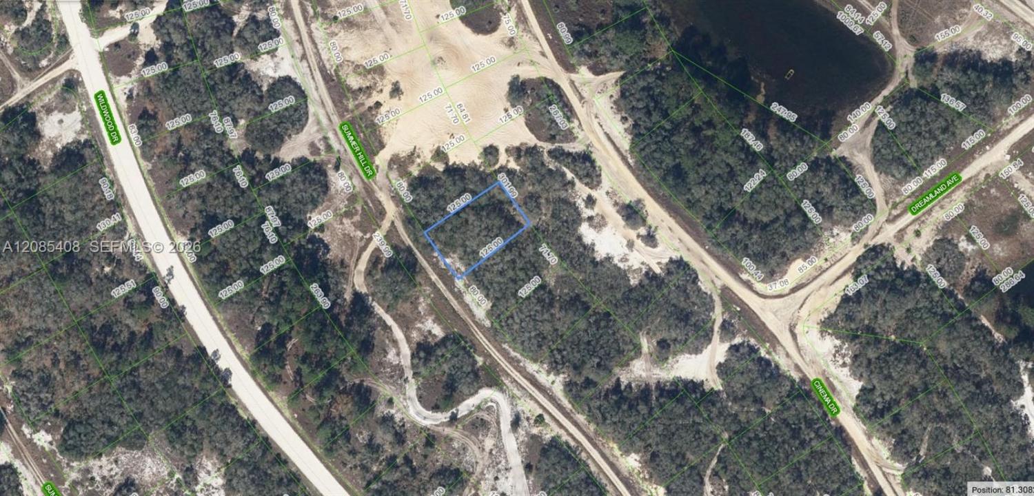 317 Summer Hill Dr, Lake Placid, Florida 33852, USA