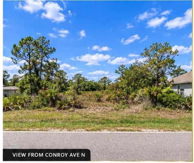 2413 Conroy N Avenue, Lehigh Acres, Floryda 33971, USA