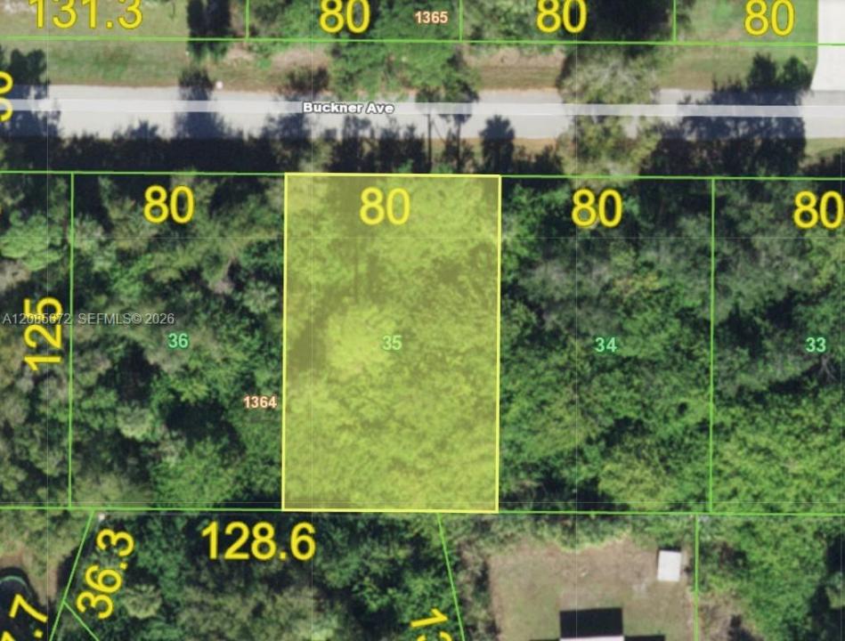 23351 Buckner Ave, Port Charlotte, فلوريدا 33980, الولايات المتحدة