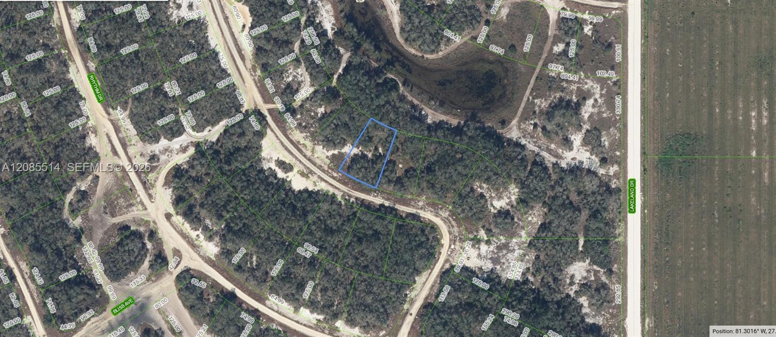 213 Dargen Dr, Lake Placid, Florida 33852, Stati Uniti