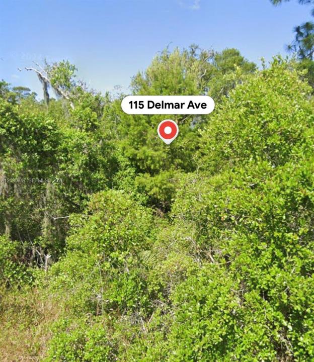 115 Delmar Ave, Lake Placid, Floride 33852, États-Unis