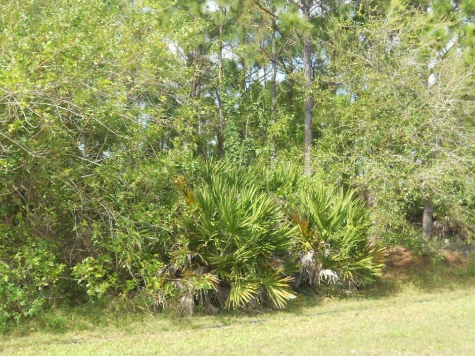 . SE Gilson Road, Floride, États-Unis