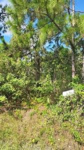 29256 MARIS DR, Punta Gorda, Floride 33982, États-Unis