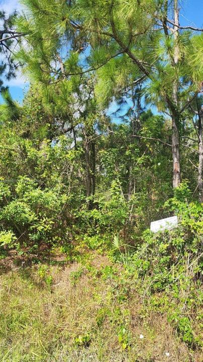29256 MARIS DR, Punta Gorda, Florida 33982, USA