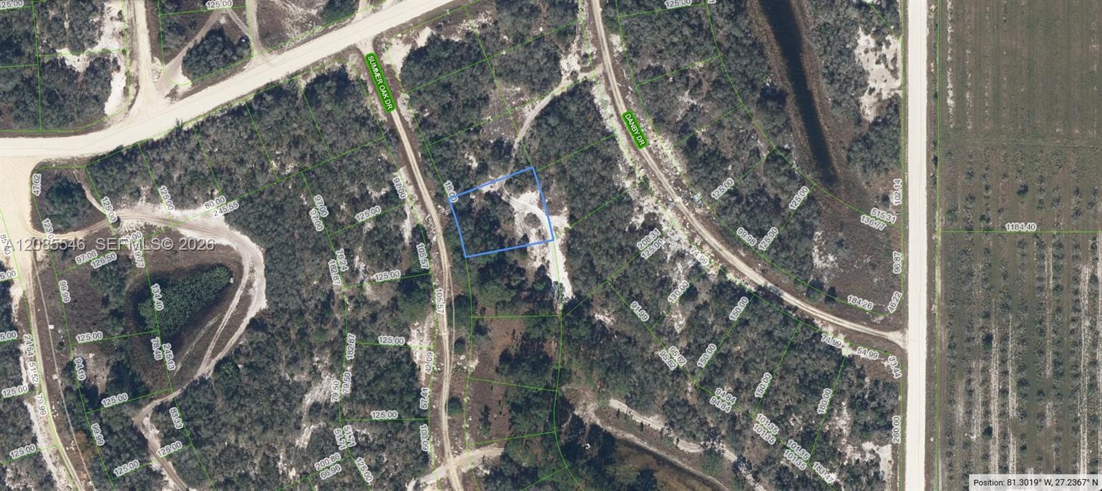 131 Summer Oak Dr, Lake Placid, Floride 33852, États-Unis