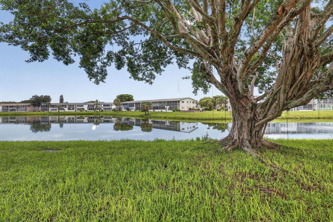 79 CHATHAM D, West Palm Beach, Florida 33417, USA