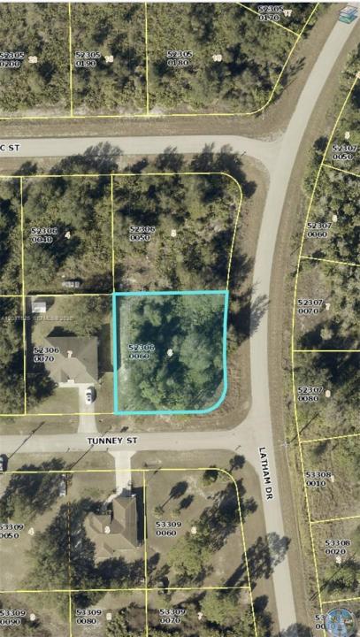 710 Tunney Street, Lehigh Acres, Florida 33972, Stati Uniti