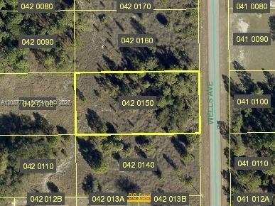 1905 WELLS AVE, Lehigh Acres, Florida 33972, Stati Uniti
