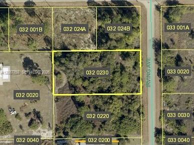 1821 IRVING AVE, Lehigh Acres, Florida 33972, USA