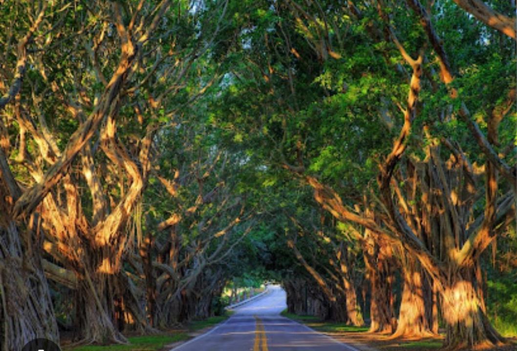 11000 SE FEDERAL Highway lot 20, Hobe Sound, Floride 33455, États-Unis