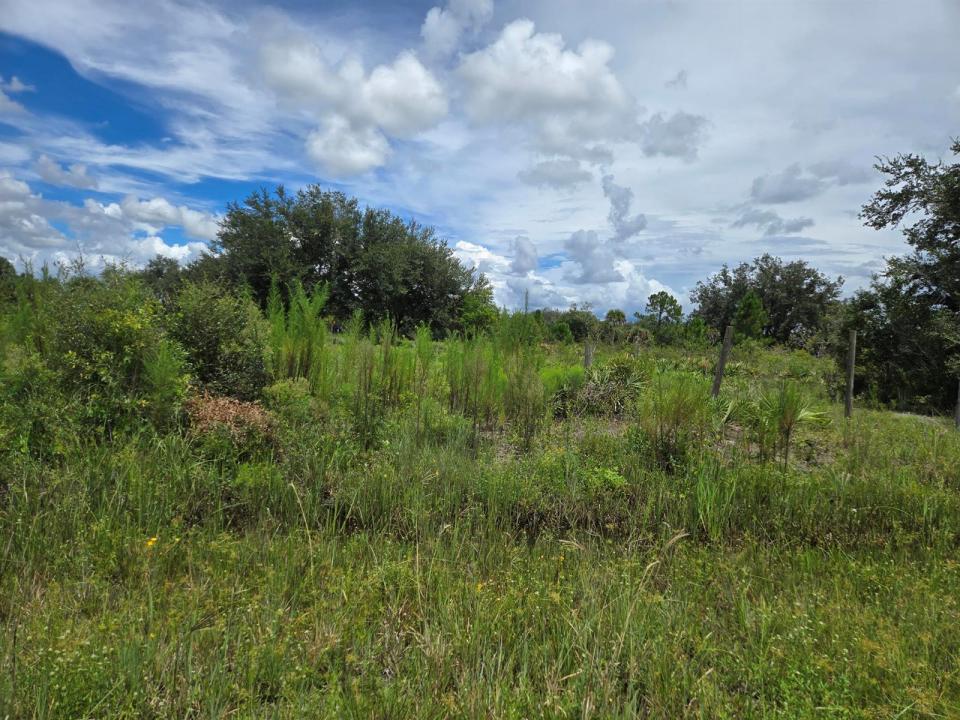 17707 NW 274th Street, Okeechobee, Florida 34972, Stati Uniti