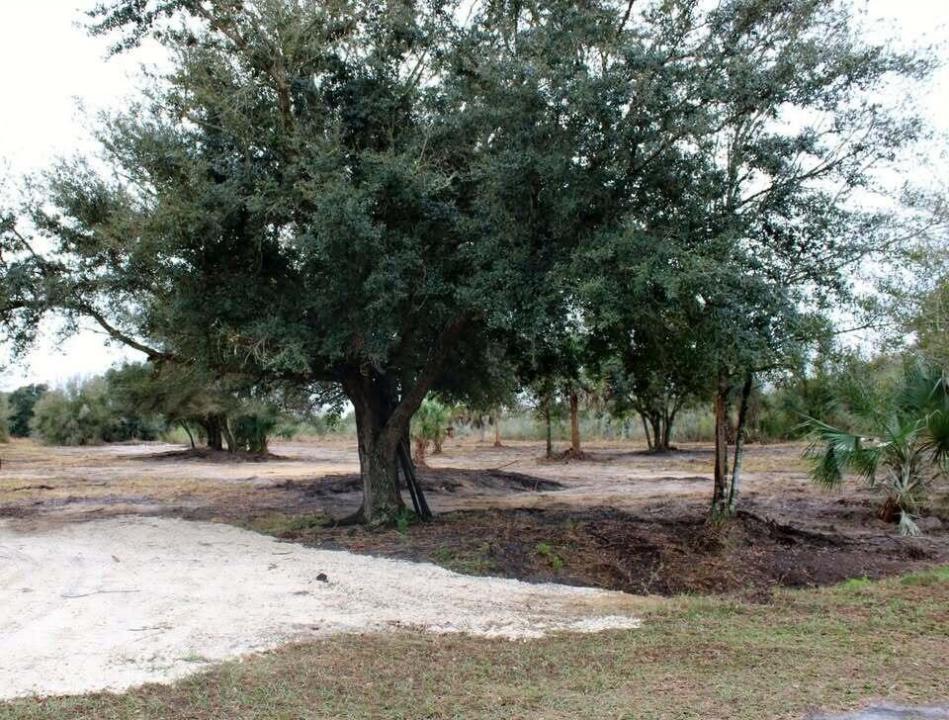 19576 NW 264TH Street, Okeechobee, Floride 34972, États-Unis