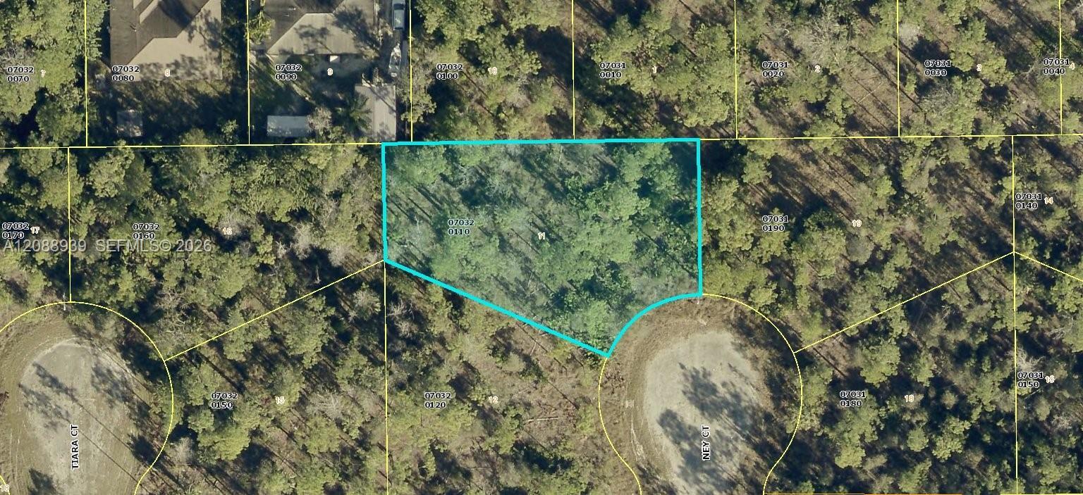 1905 Ney Ct., Lehigh Acres, Floride 33972, États-Unis