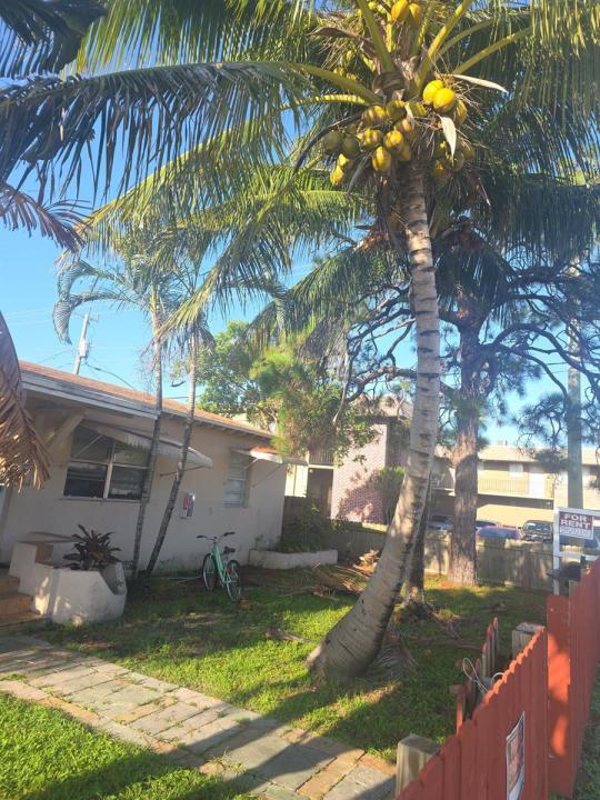 2028 Funston Street Apt 2, Hollywood, Floride 33020, États-Unis