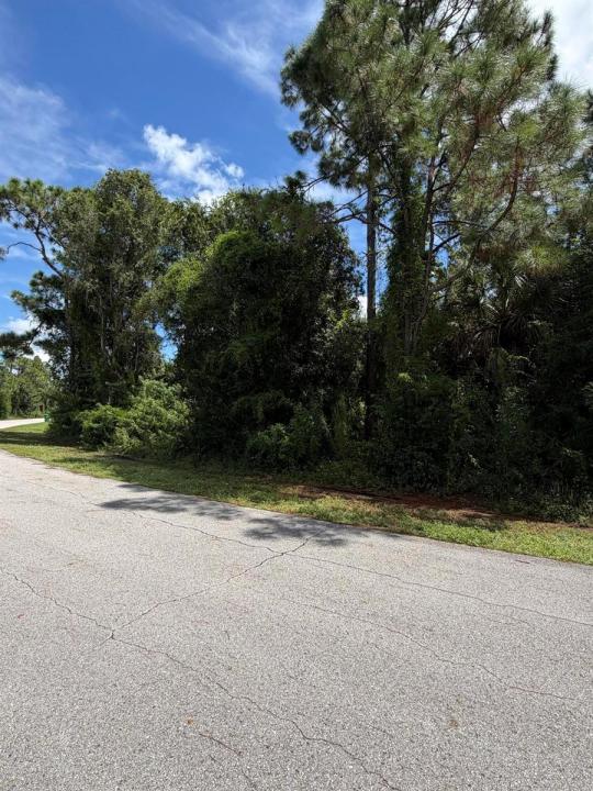 12094 BORAX Avenue, Punta Gorda, Florida 33955, USA