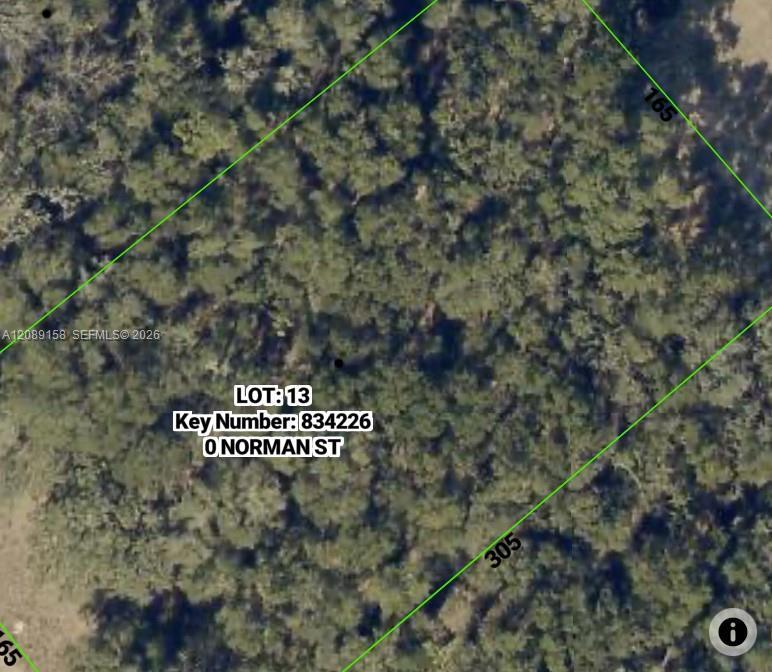 0 Norman St, Florida 33593, USA