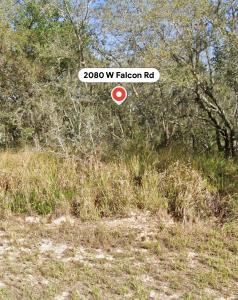 2080 W Falcon Rd, Avon Park, Floride 33825, États-Unis