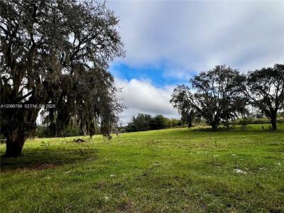 0 ROLLING ACRES RD, Florida 34731, USA