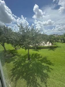 205 MANSFIELD E Way, Boca Raton, 佛羅里達州 33434, 美國