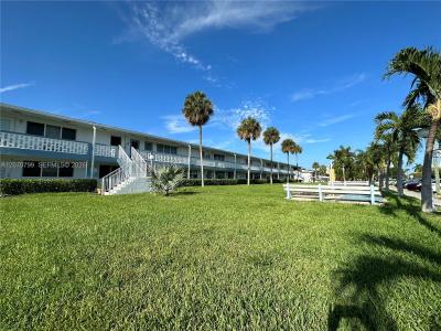 851 Atlantic Shores Blvd 234, Hallandale Beach, 佛羅里達州 33009, 美國
