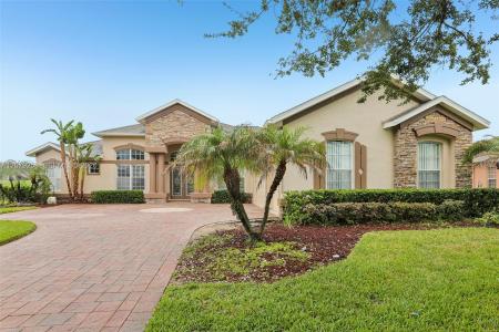 1413 Brilliant Cut Way, Brandon, Florida 33594, USA