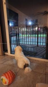 8801 Wiles Rd 208, Coral Springs, Florida 33067, USA