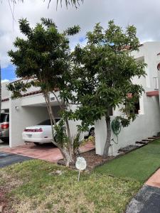 6625 RACQUET CLUB Drive 155, Lauderhill, Florida 33319, Amerika Birleşik Devletleri