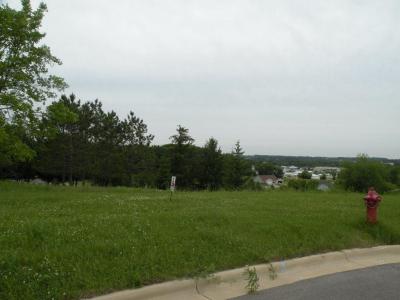219 Glacial Terrace, Ripon, Wisconsin 54971, Estados Unidos