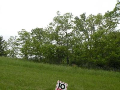 1052 Combe Street, Ripon, Wisconsin 54971, Estados Unidos