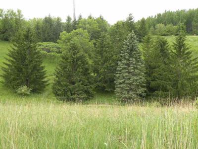 290 Moraine Drive, Ripon, Wisconsin 54971, Estados Unidos