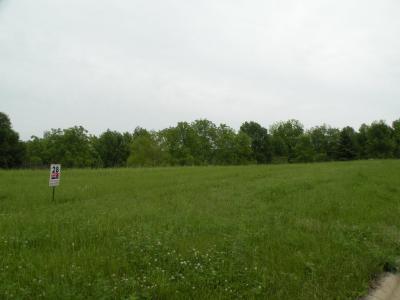 Lot 28 / 357 Drumlin Loop, Ripon, Wisconsin 54971, Estados Unidos