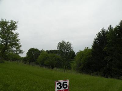 301 Drumlin Loop, Ripon, Wisconsin 54971, Estados Unidos