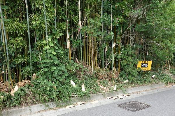 折戸町梨子ノ木, 日進市, أيشي 470-0115, اليابان