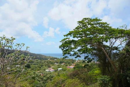 Marli Sea View, Marli, St.Patrick West Indies, Granada