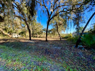 Lots 66 & 67 Ashley Street, Hawthorne, 플로리다 32640, 미국