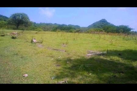 Havey Vale Lot, Harvey Vale, Carriacou West Indies, Grenada