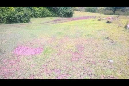 Havey Vale Lot, Harvey Vale, Carriacou West Indies, Grenada